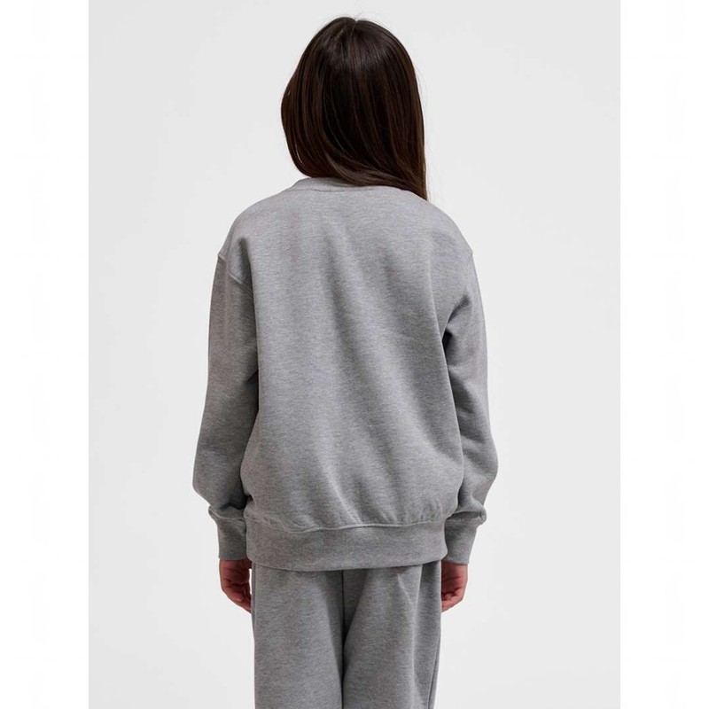 Hummel Clean Sweatshirts Kinderen Grijs | 432423-589