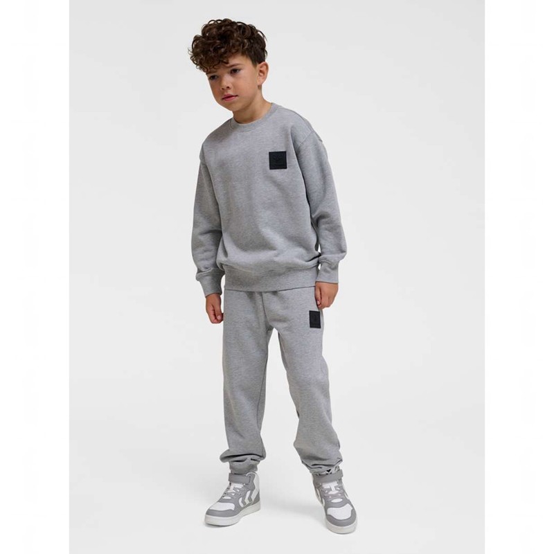 Hummel Clean Sweatshirts Kinderen Grijs | 432423-589