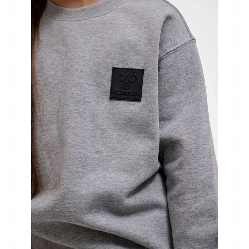 Hummel Clean Sweatshirts Kinderen Grijs | 432423-589