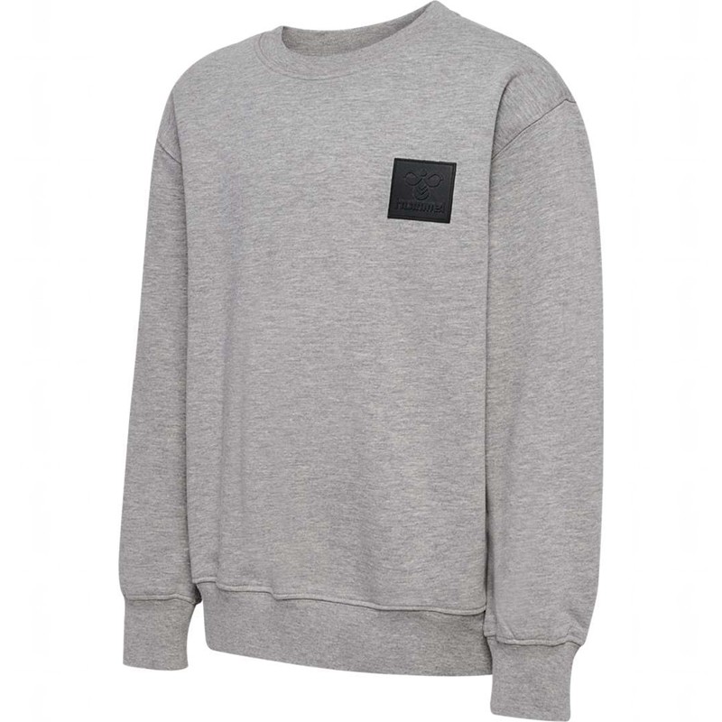 Hummel Clean Sweatshirts Kinderen Grijs | 432423-589