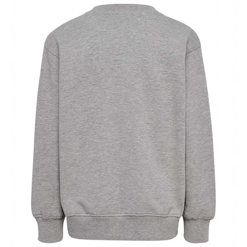 Hummel Clean Sweatshirts Kinderen Grijs | 432423-589