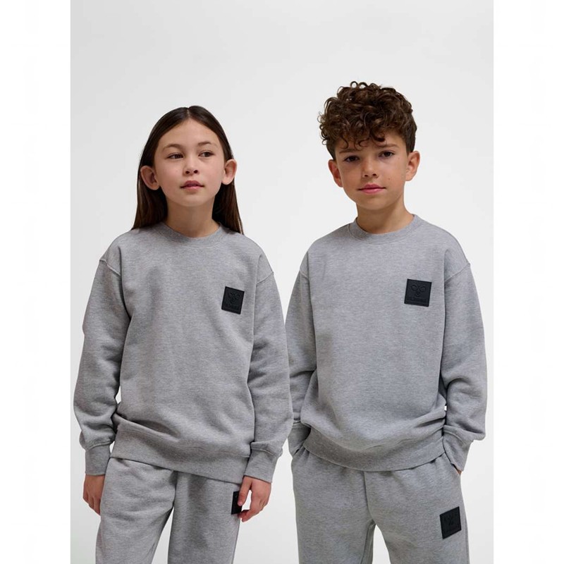 Hummel Clean Sweatshirts Kinderen Grijs | 432423-589