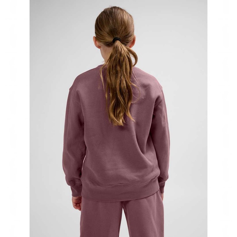 Hummel Clean Sweatshirts Kinderen Roze | 657835-742