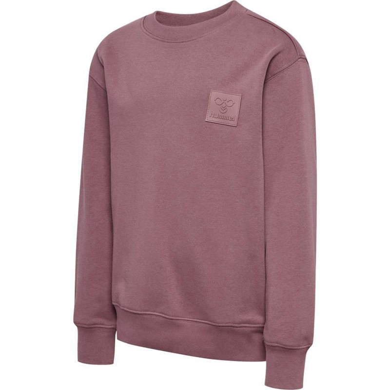 Hummel Clean Sweatshirts Kinderen Roze | 657835-742