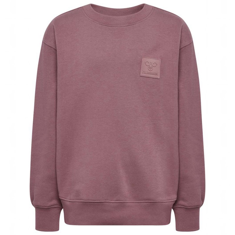 Hummel Clean Sweatshirts Kinderen Roze | 657835-742