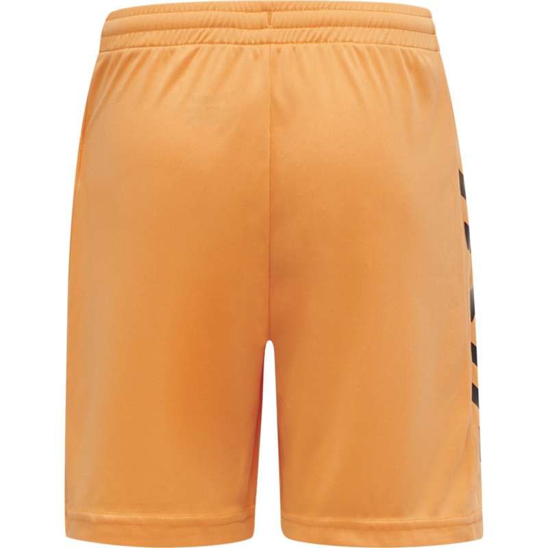 Hummel Core Gk Sets Kinderen Oranje | 162852-645