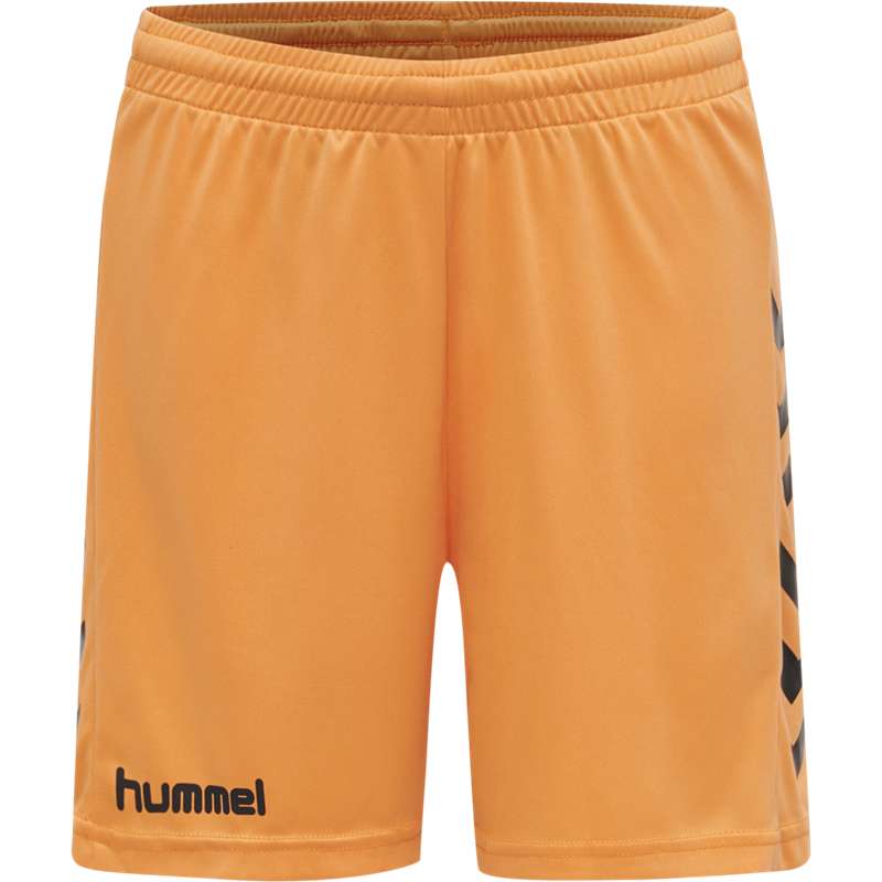 Hummel Core Gk Sets Kinderen Oranje | 162852-645
