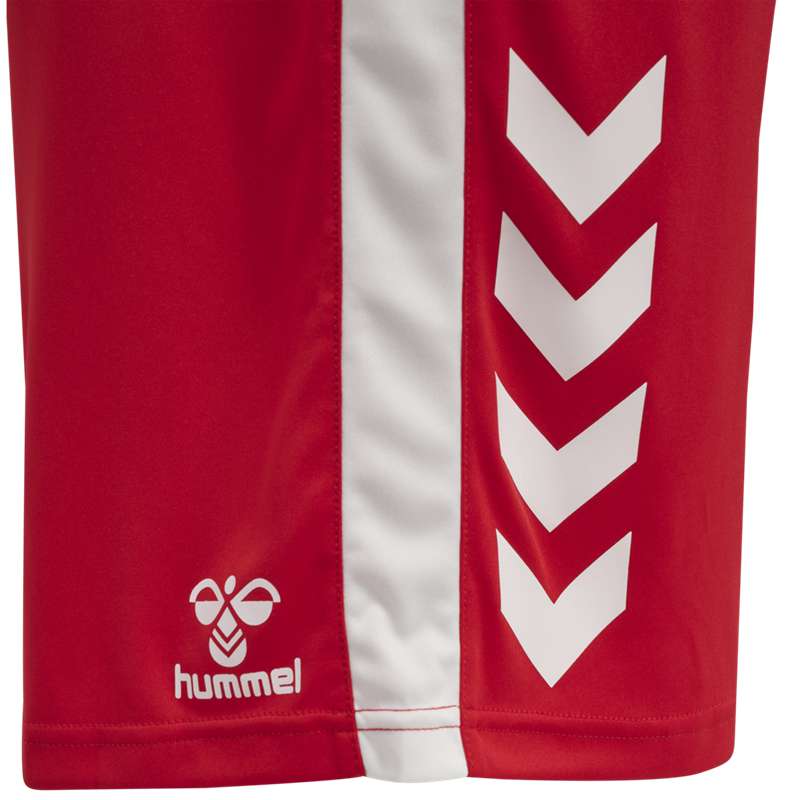 Hummel Core Xk Basket Korte Broek Heren Rood | 949178-589