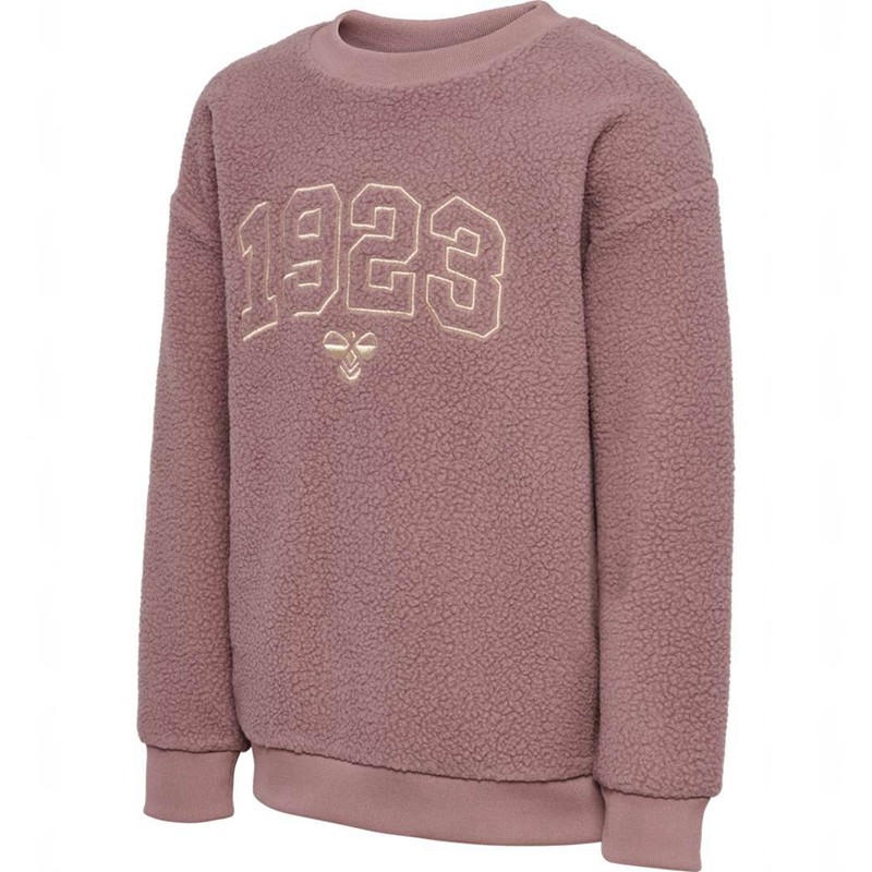 Hummel Cosso Sweatshirts Kinderen Roze | 556706-229