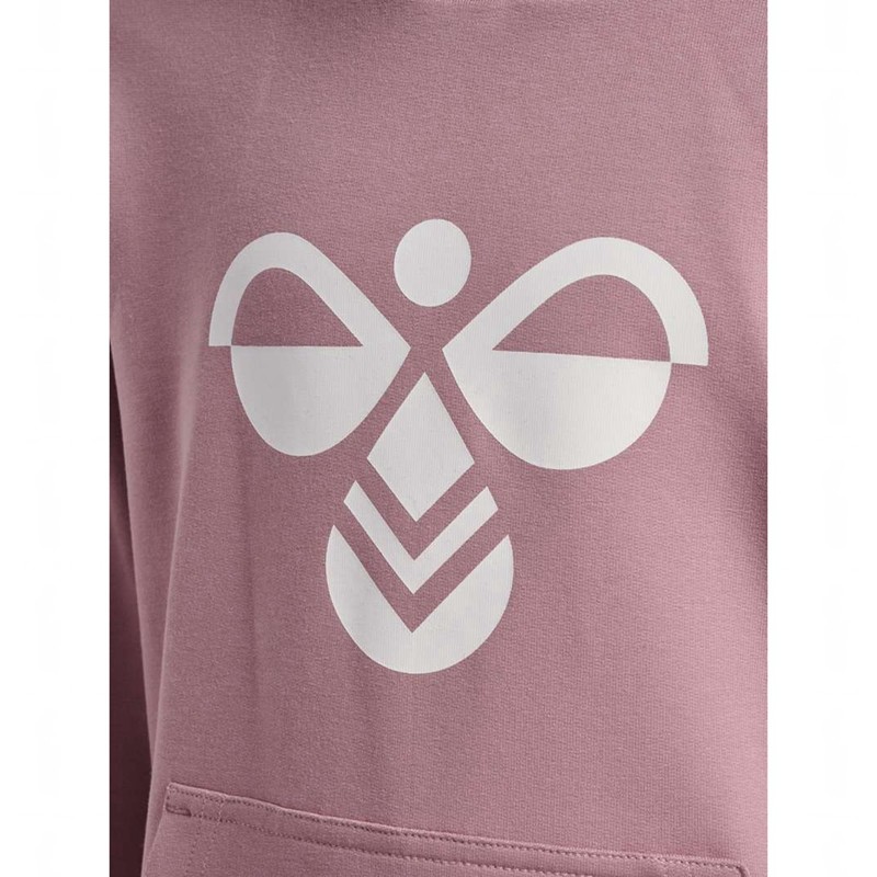 Hummel Cuatro Hoodie Kinderen Roze | 166453-629