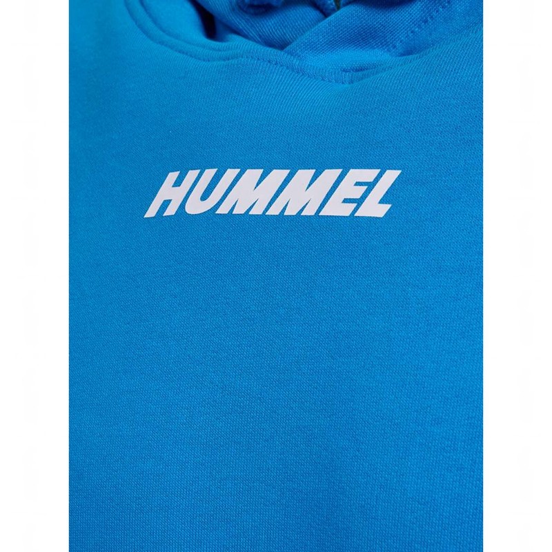 Hummel Elemental Hoodie Heren Blauw | 135405-705