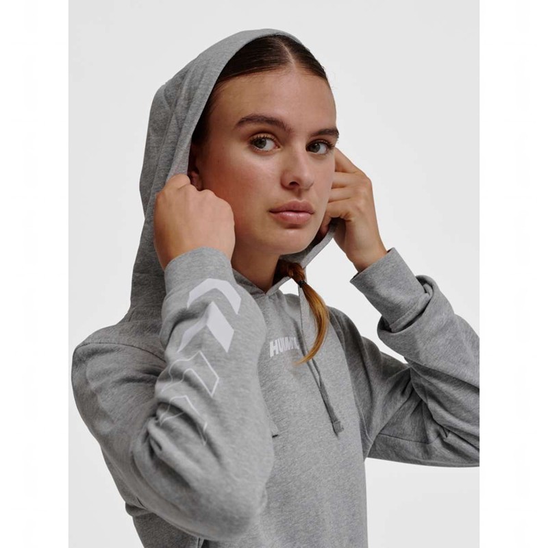Hummel Elemental Hoodie Heren Grijs | 353650-319