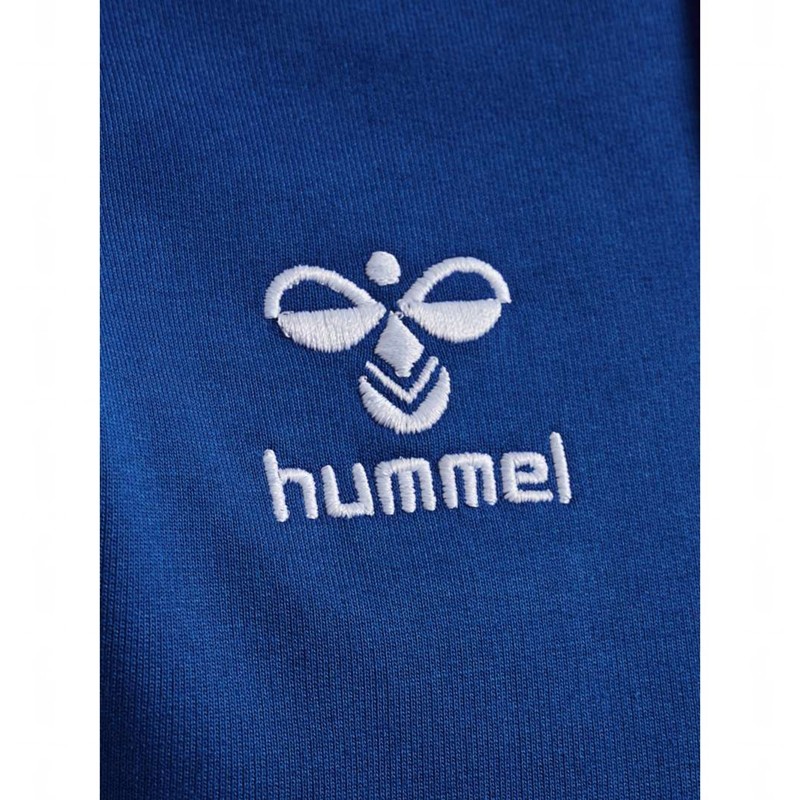 Hummel Go 2.0 Hoodie Heren Blauw | 608146-940