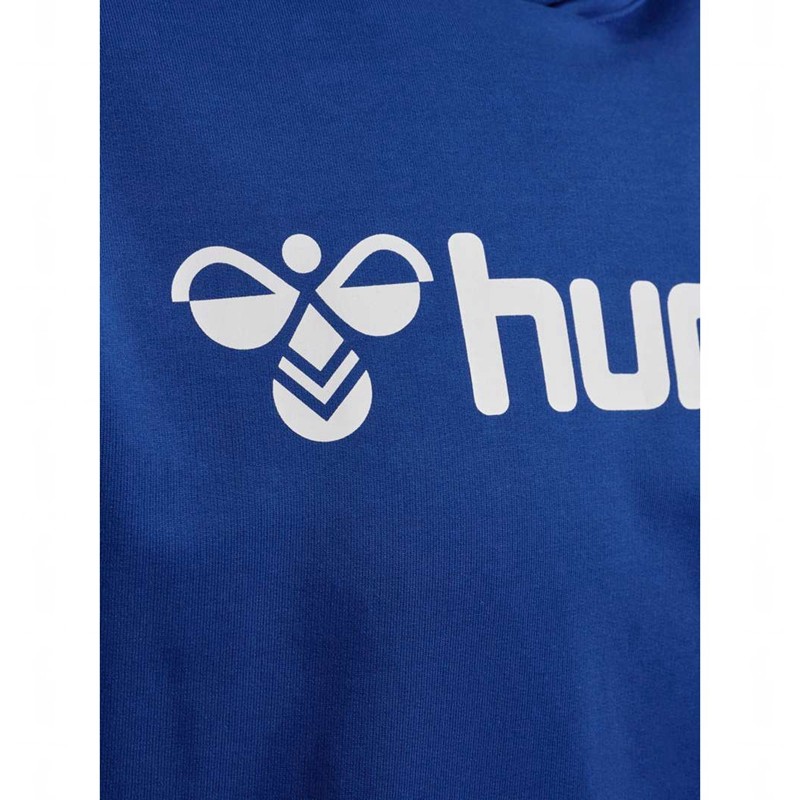 Hummel Go 2.0 Logo Hoodie Heren Blauw | 105161-757