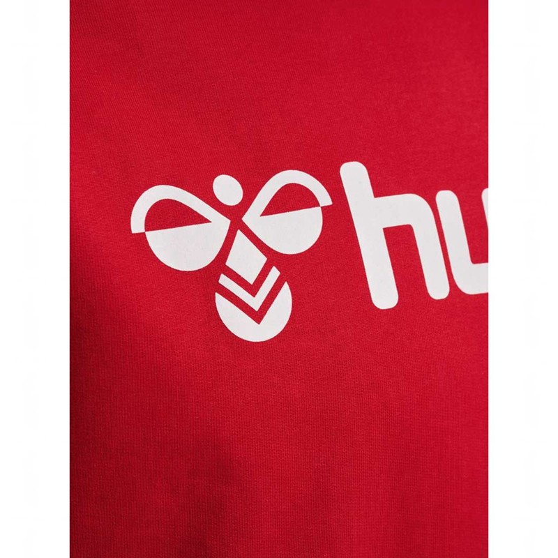 Hummel Go 2.0 Logo Hoodie Heren Rood | 625647-029