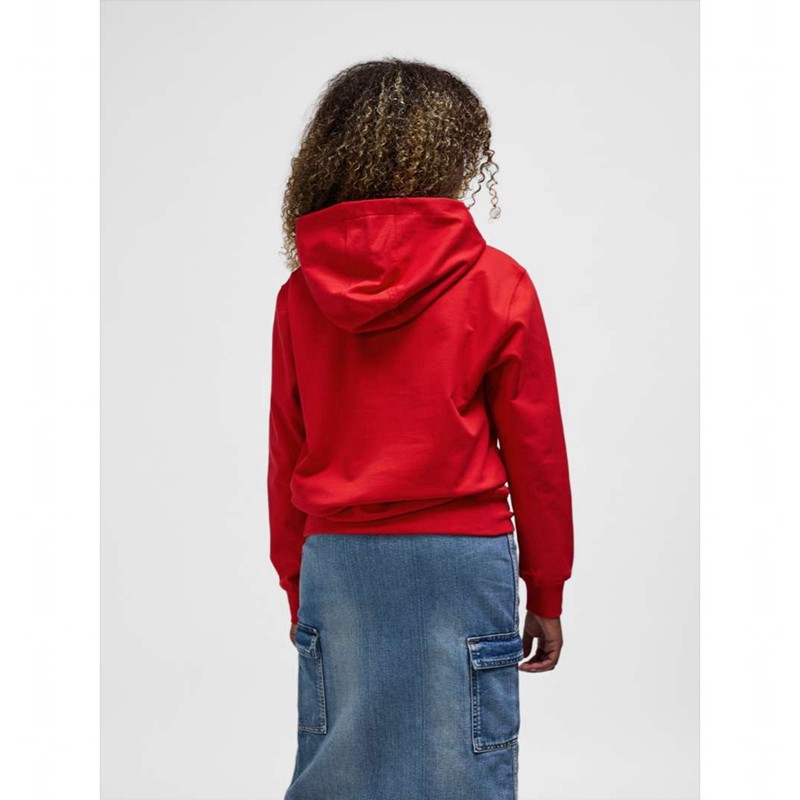 Hummel Go 2.0 Logo Hoodie Kinderen Rood | 858408-338
