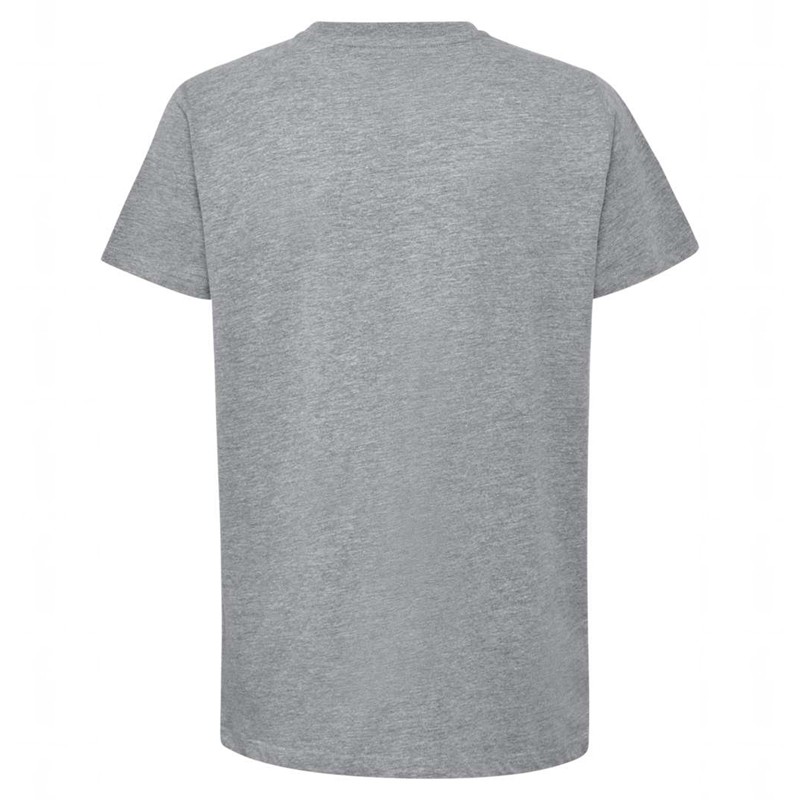 Hummel Go 2.0 Logo S/S T-shirts Kinderen Grijs | 678384-943