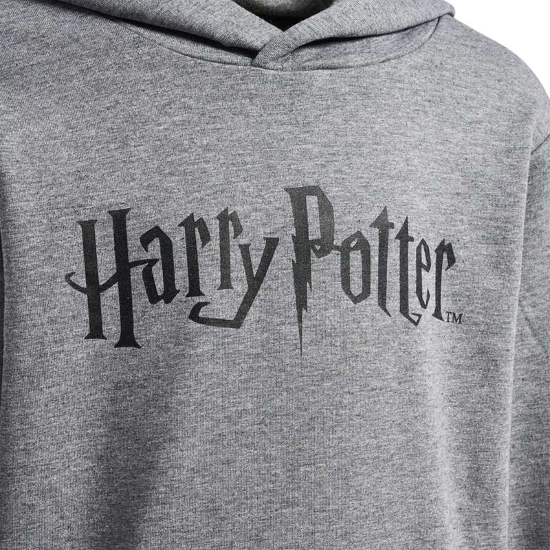 Hummel Harry Potter Hoodie Kinderen Grijs | 414645-013