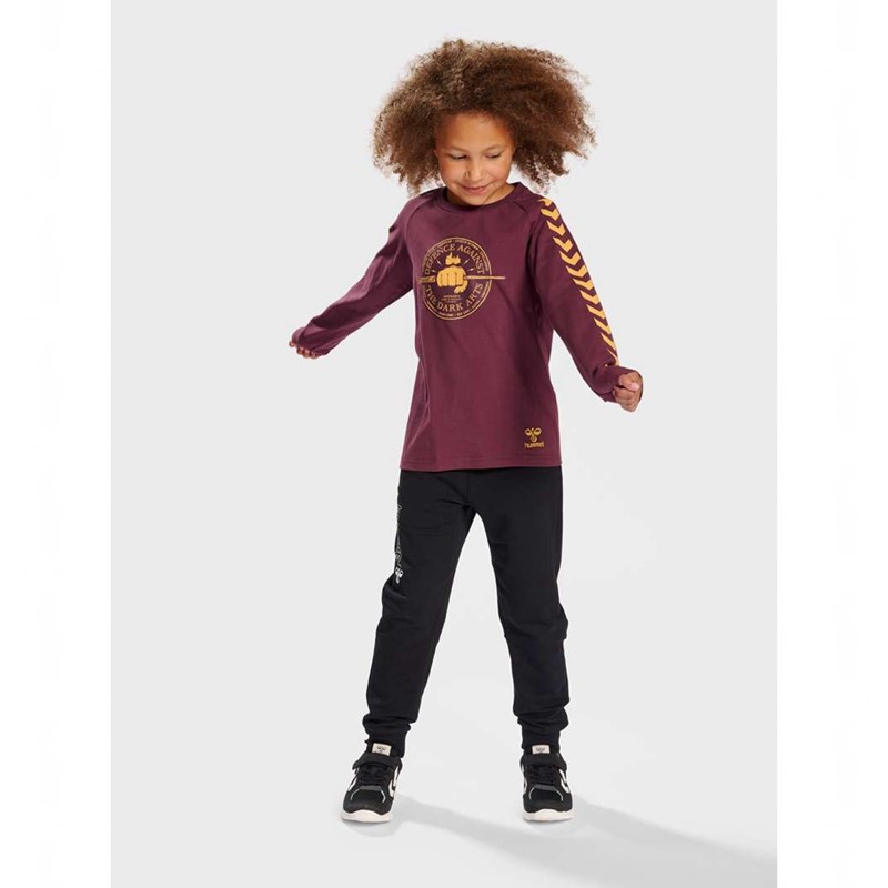 Hummel Harry Potter Ls T-shirts Kinderen Fuchsie | 995496-820
