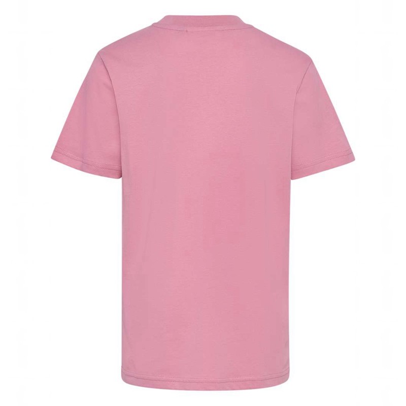 Hummel Jr Base S/S T-shirts Kinderen Roze | 154925-417