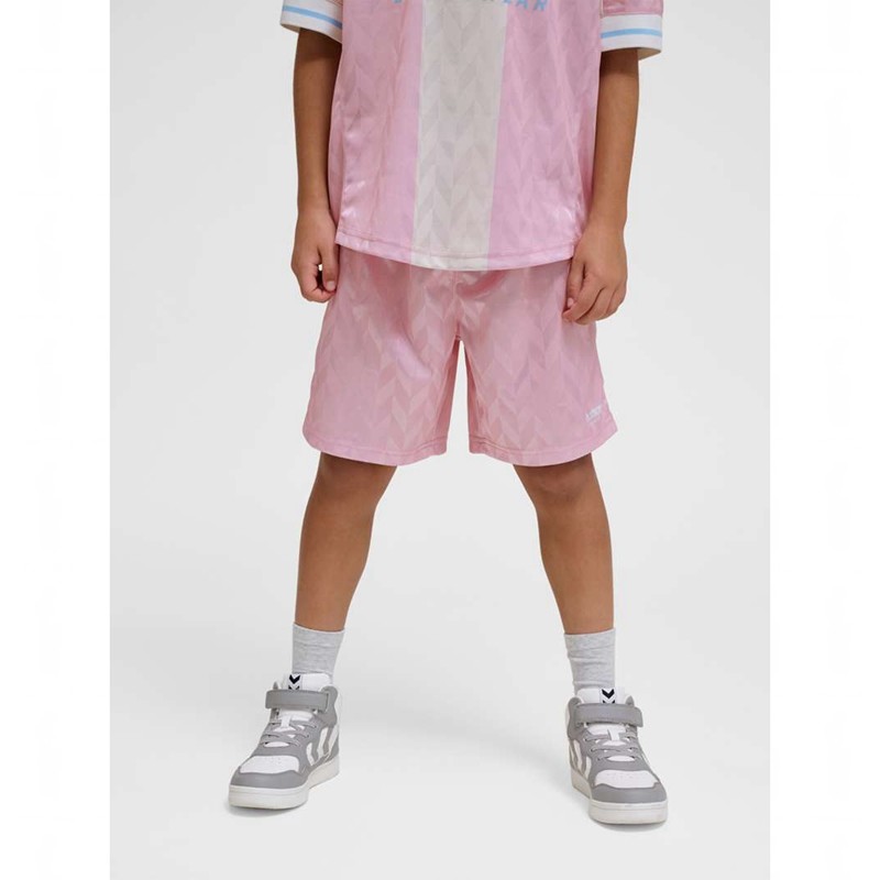 Hummel Jr Fb Sokken Kinderen Roze | 125480-838