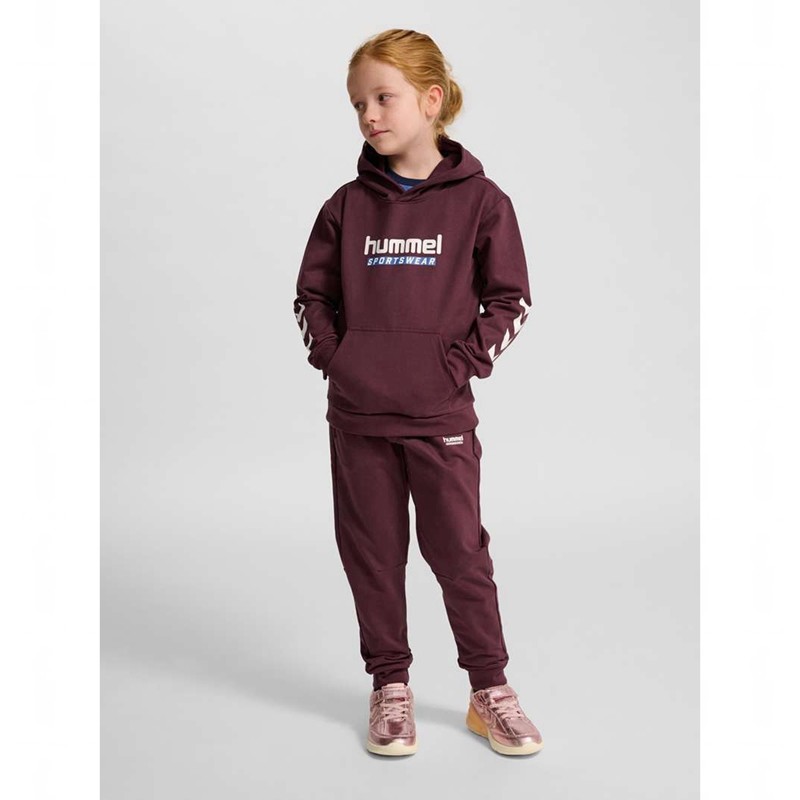 Hummel Jr Logo Hoodie Kinderen Bordeaux | 759227-359
