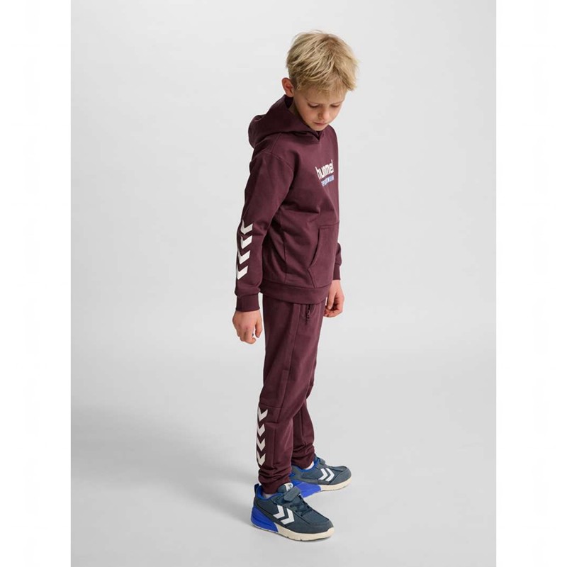 Hummel Jr Logo Hoodie Kinderen Bordeaux | 759227-359