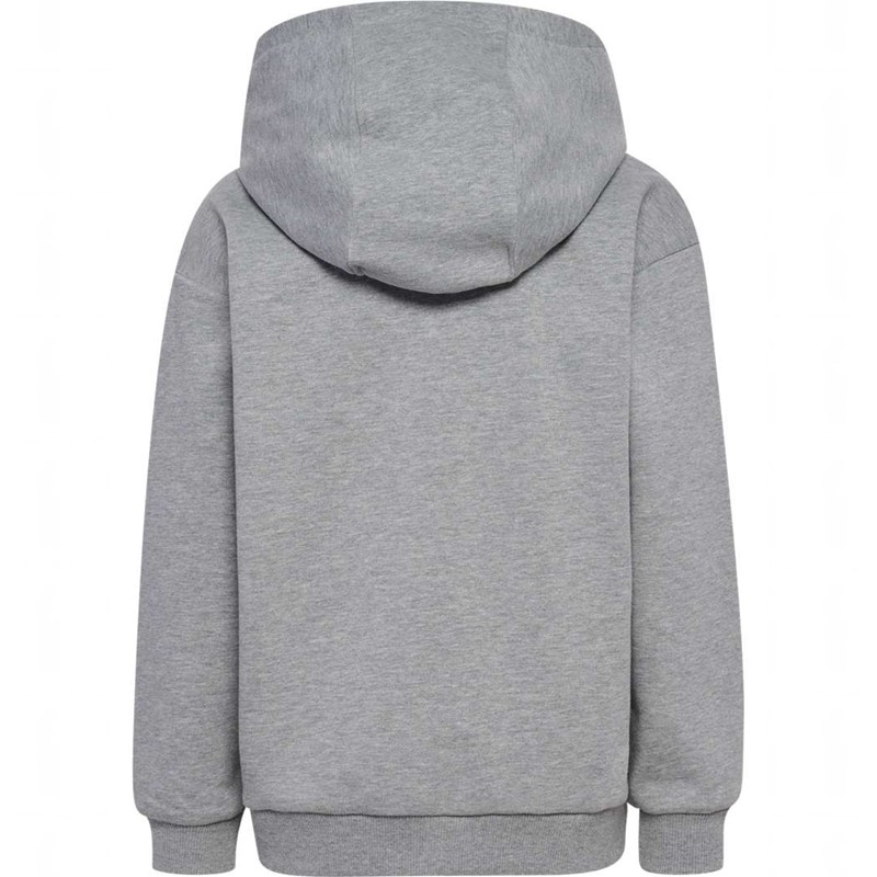 Hummel Jr Loose Bee Hoodie Kinderen Grijs | 366557-303