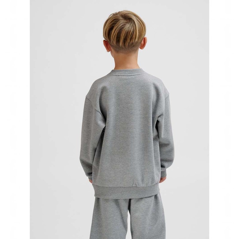 Hummel Jr Loose Crewneck Bee Hoodie Kinderen Grijs | 028746-558