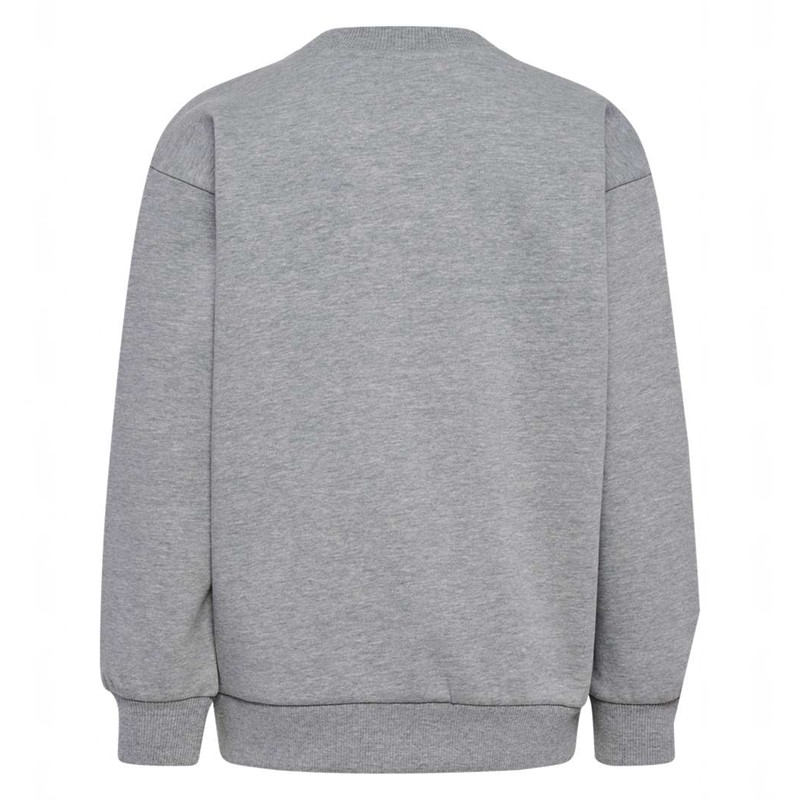 Hummel Jr Loose Crewneck Bee Hoodie Kinderen Grijs | 028746-558