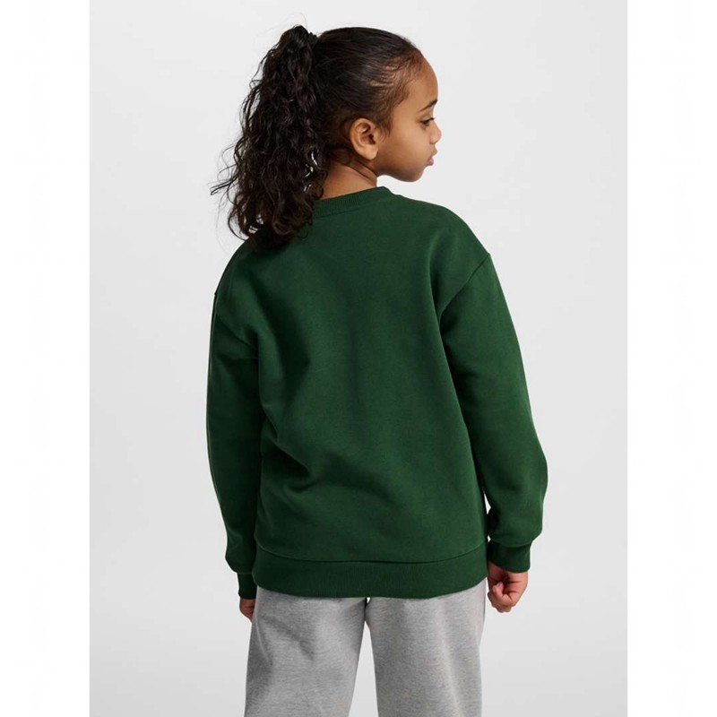 Hummel Jr Loose Crewneck Bee Sweatshirts Kinderen Groen | 035357-023