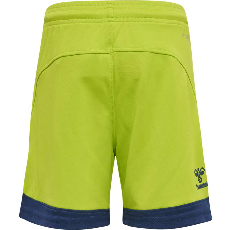 Hummel Lead Poly Sokken Kinderen Groen | 400300-945