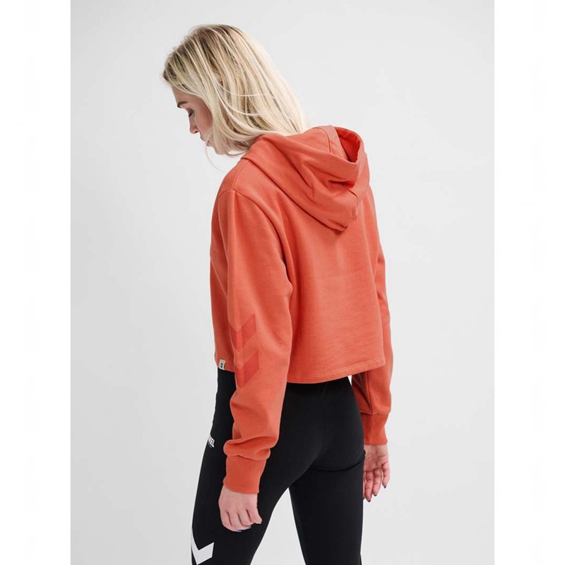 Hummel Legacy Cropped Hoodie Dames Abrikoos | 441114-379