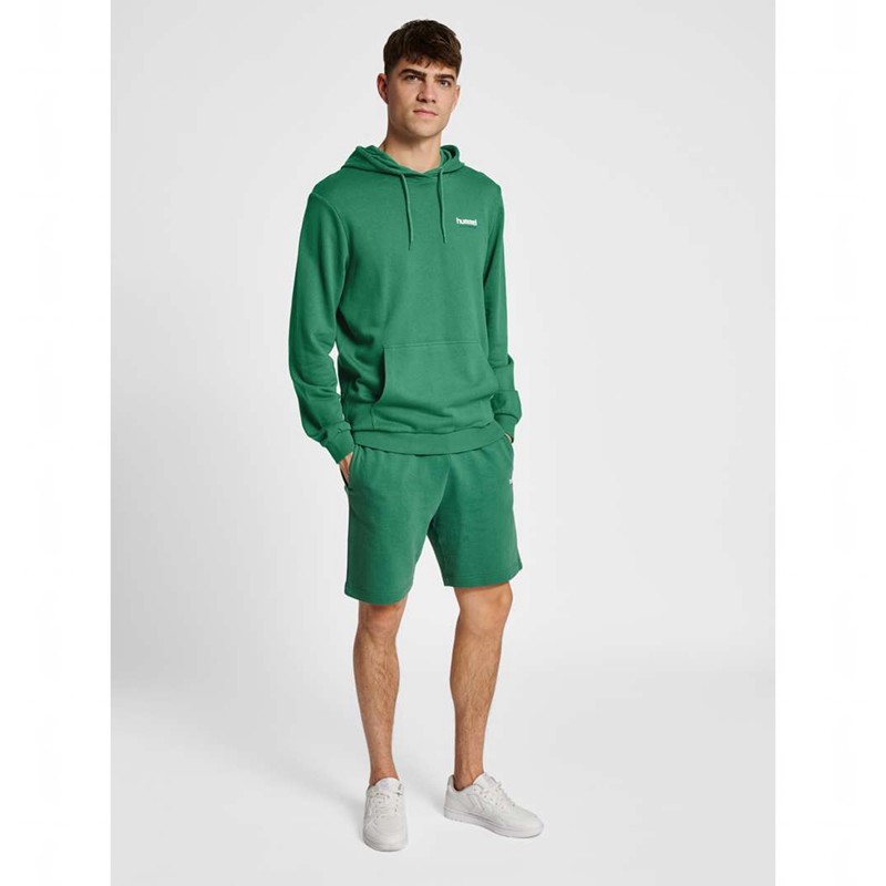Hummel Lgc Gabe Hoodie Heren Groen | 993711-774