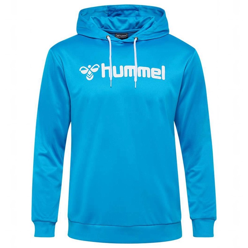 Hummel Logo Hoodie Heren Blauw | 307954-841