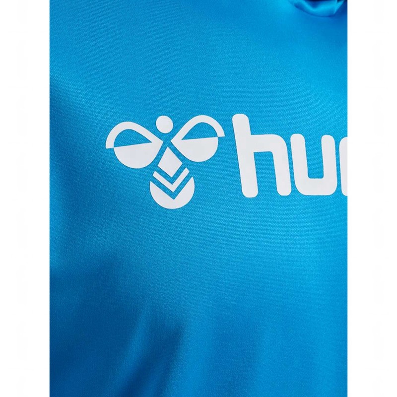 Hummel Logo Hoodie Heren Blauw | 307954-841