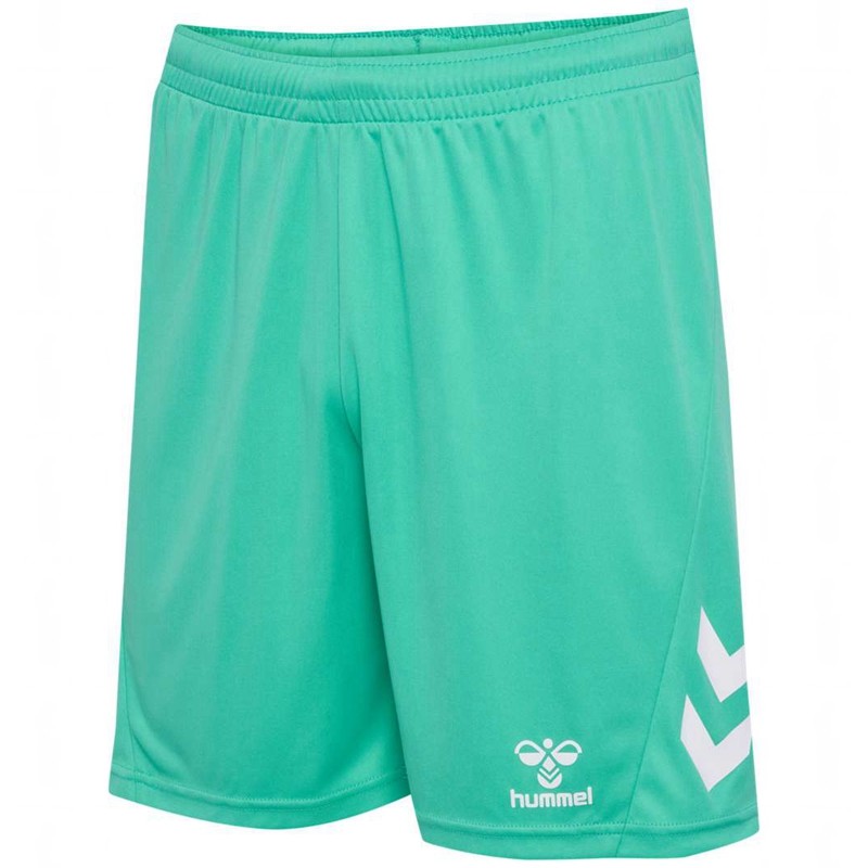 Hummel Logo Sets Heren Groen | 010370-078