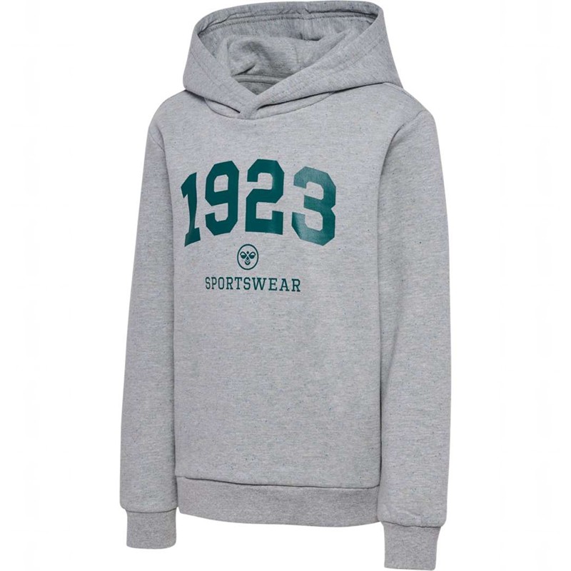 Hummel Nipps Hoodie Kinderen Grijs | 748617-625