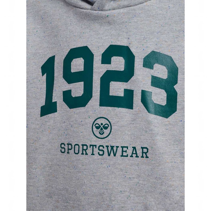 Hummel Nipps Hoodie Kinderen Grijs | 748617-625