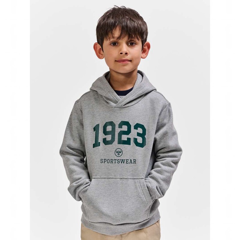 Hummel Nipps Hoodie Kinderen Grijs | 748617-625