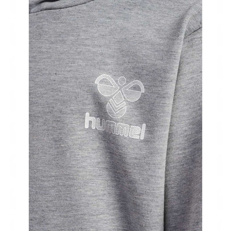 Hummel Proud Hoodie Kinderen Grijs | 866846-137