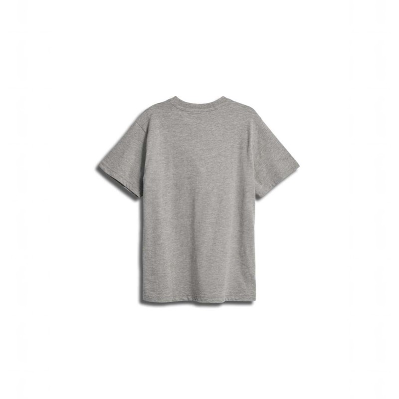Hummel Stsocean S/S T-shirts Kinderen Grijs | 660871-334