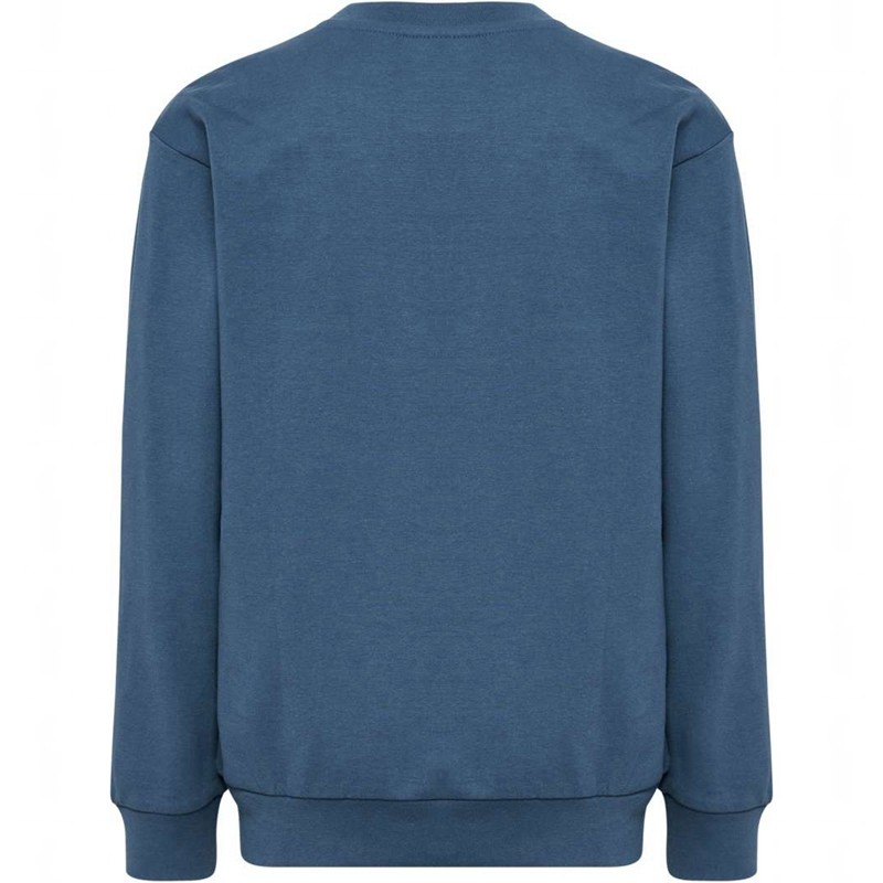 Hummel Tukas Sweatshirts Kinderen Blauw | 963216-652