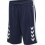 Donkerblauw